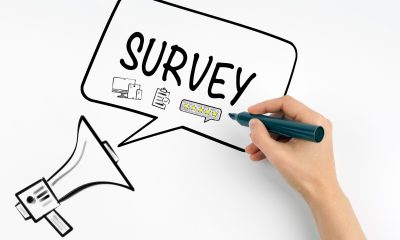 Best Survey Sites for Paying Down Debt
